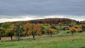 Chata Holý Vrch - oáza kľudu a pokoja