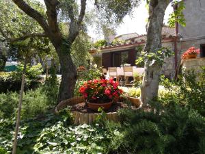 SCAPPO IN UMBRIA, la casa di Giuliana