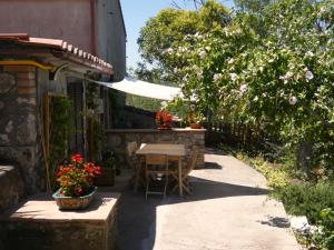 SCAPPO IN UMBRIA, la casa di Giuliana