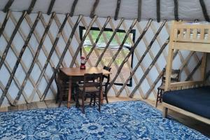 Allie Mae Yurt nestled in the woods