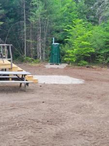 Allie Mae Yurt nestled in the woods