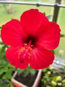 Charis Manor, Asomdwoe Suite - Mampong