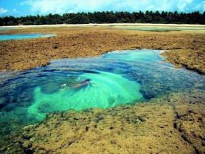 Paraíso em meio à natureza, a 5 min da praia
