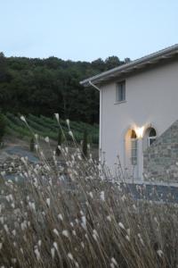 Agriturismo Tenuta Il Molino