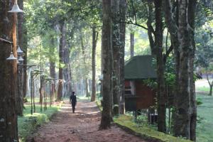 900 Woods Wayanad Eco Resort - A Sprawling Jungle Stay near Glass Bridge