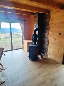 Vila Planinski san 2