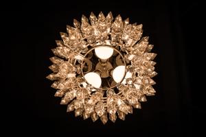 Palazzo Dessy Historic House img50