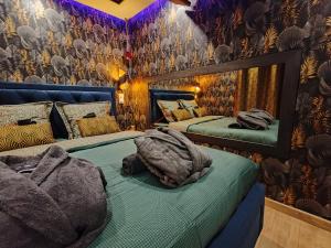 Appartements Le Quai Amienois - Romance Tropicale - SPA Romantique : photos des chambres