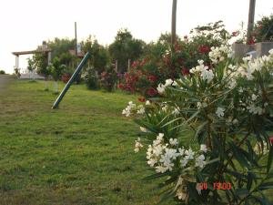 Terpsichore Apartments Messinia Greece