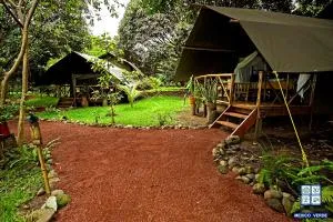 墨西哥豪园探险酒店 - Jalcomulco