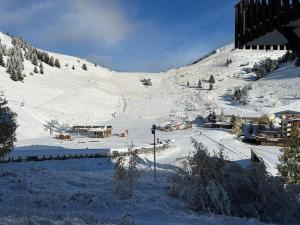 Le studio des oursons