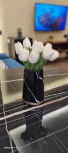 Tirana Daily Rental Apartments 1