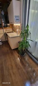 Tirana Daily Rental Apartments 1