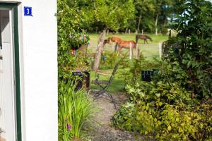 FerienGut Gaarz - Im Park 3