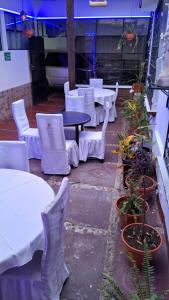 Hotel Kamelot Parque Central