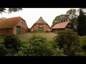 NEU! Ferienhaus am grünen Kamp