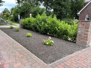 Ferienhaus Seeschwalbe 1