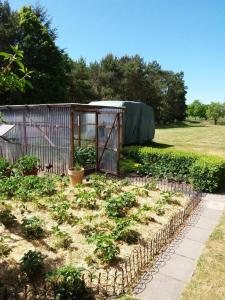 NEU Ferienhaus am Saaler Bodden