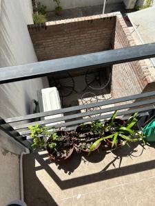 Luminoso Cálido Relajación y Descanso