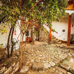 Flamenco Guest House San Blas