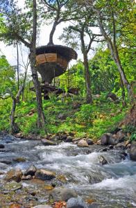 Cabanas Rio Encantado