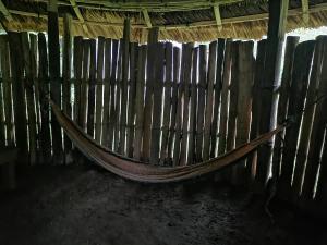 Ditsokata Ú