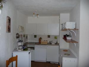 2 pièces aux Adrets, au pied des pistes, animaux admis - FR-1-771-36