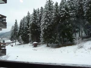 Appartement cosy avec balcon, à proximité du centre aquatique et des randonnées - FR-1-771-38