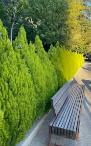 Luxury apartment Gardens