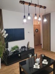 Apartament Złota Dziewiątka - Kobylec