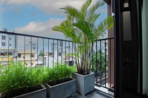 Căn Hộ 1 Phòng Ngủ (One Bedroom Apartment )