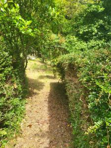 PENSION ALFOZ de RONDIELLA