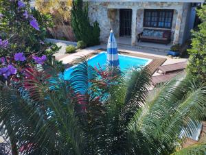 casa vô Minga