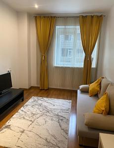 DMT Apartament regim hotelier Rin