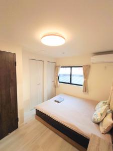 Maison Novel under Skytree