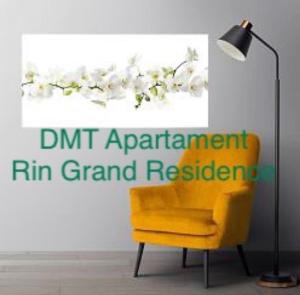 DMT Apartament Rin Grand