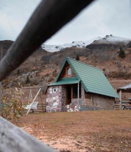 Forest fruit Jelovica