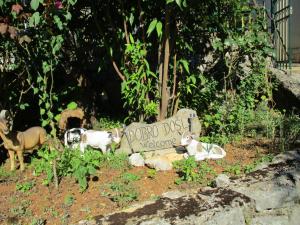 Apartment in Icici with sea view, terrace, Wi-Fi (4870-1)