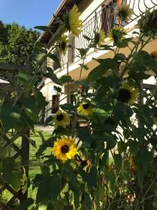 Vue du Gar - Siradan