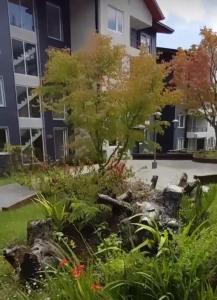 Departamento Pucon, para 5 personas