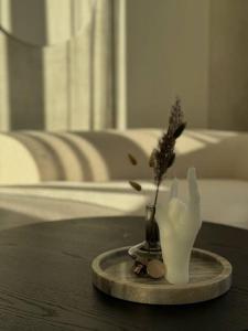 Danės23 - CANDY studio, Self Check-in, Free Parking, Park and River View, Oldtown, AC