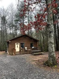Private cozy cabin in the woods with great view - Turtletown
