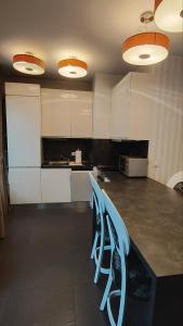 Quiet 1BDRM with FREE and secured Garage in Iztok