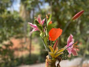 Spacious 2BHK for upto 12 Guests , Best for Families & Groups