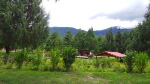 Kichu Resorts