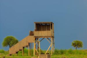 Amanya 1-Bed Zebra Tent