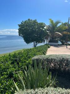 Bayfront Villa & Apartment