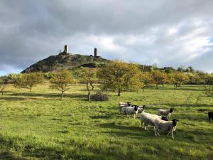 Penzion pod Hazmburkem