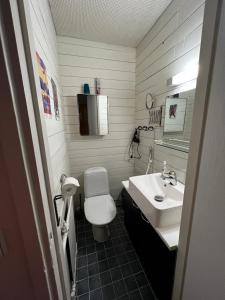 Villa Narikka, Tilava ja rauhallinen loma-asunto Kittilän keskustassa