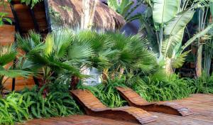 Tiên Sơn Pleiku Homestay